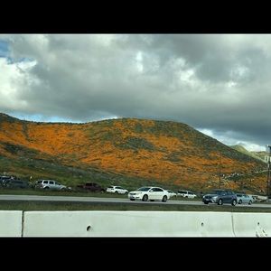 Meet your Posher, Noemi